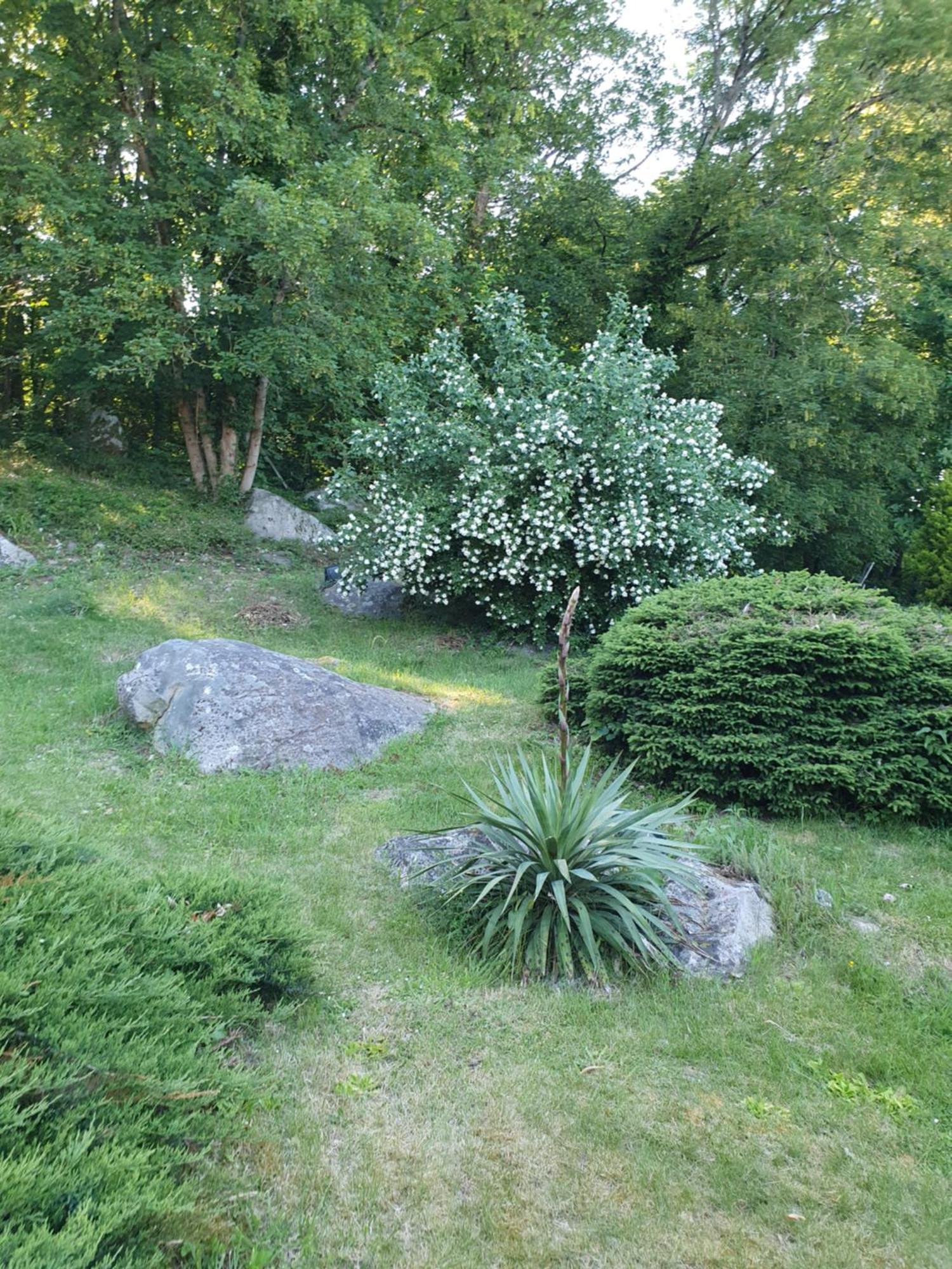 Le Jardin Des Roches Bed and Breakfast Moigny Exteriör bild